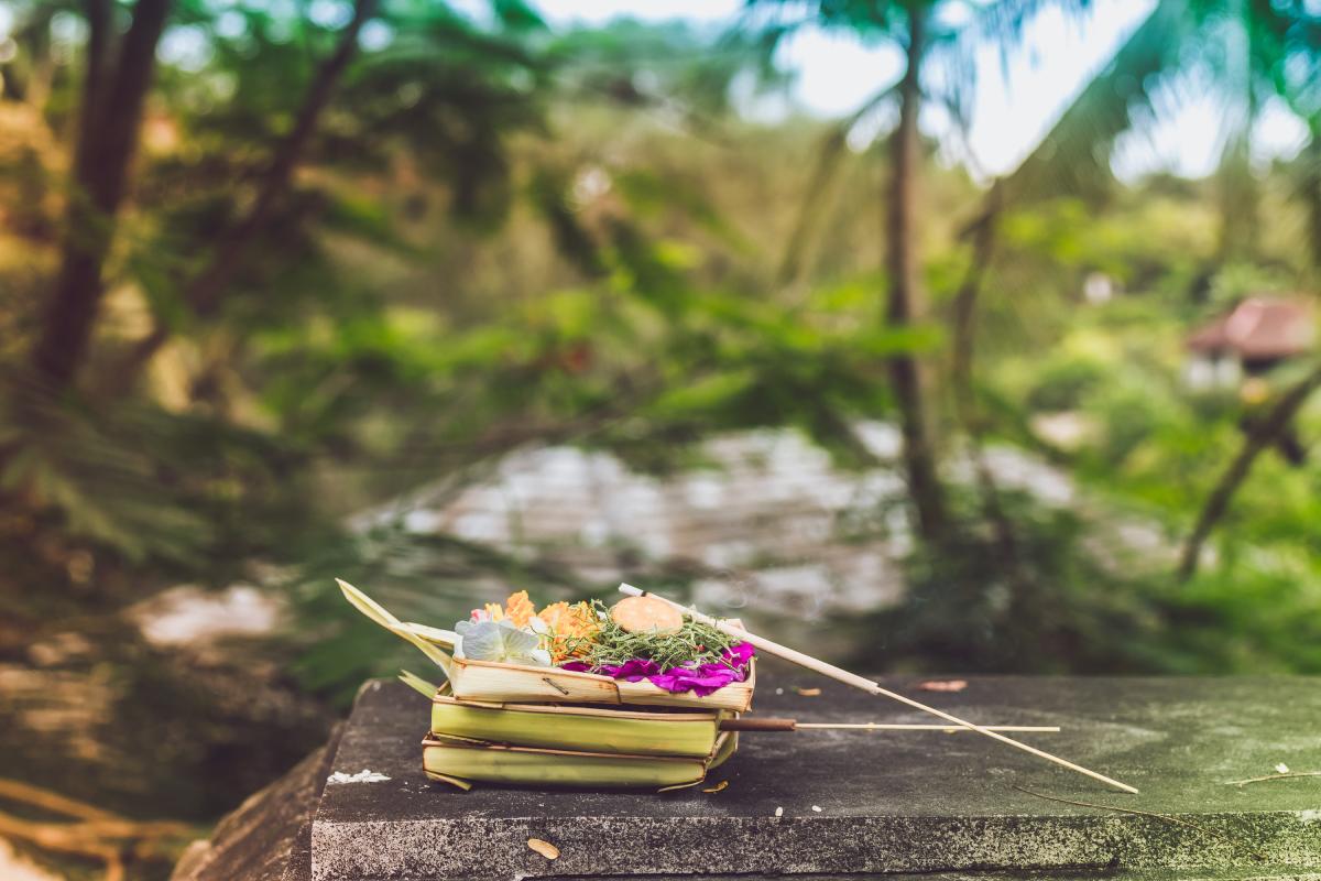 Bali.com
