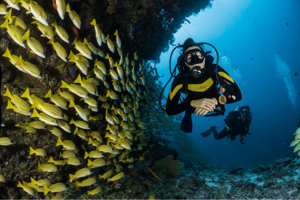 Bali.com