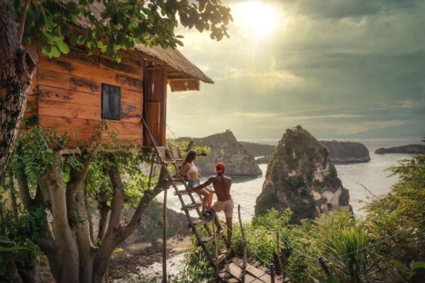 The tree house in Nusa Penida