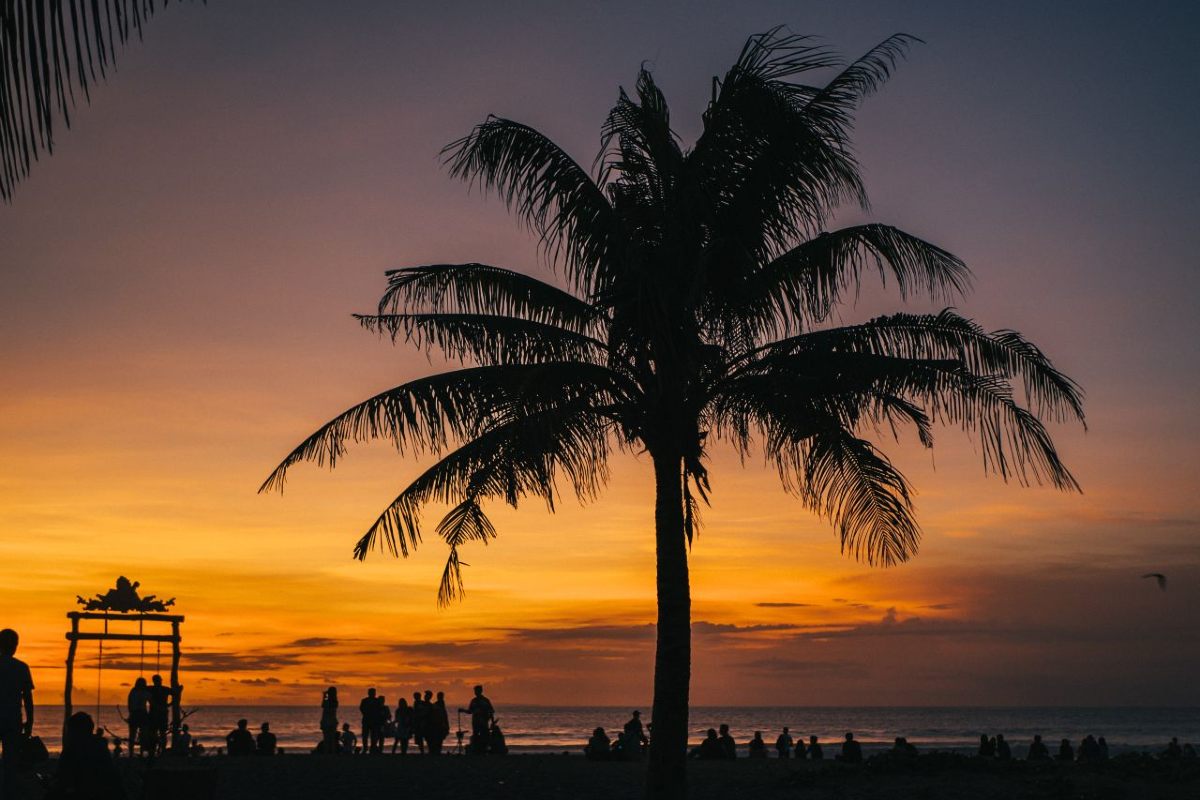 Bali.com