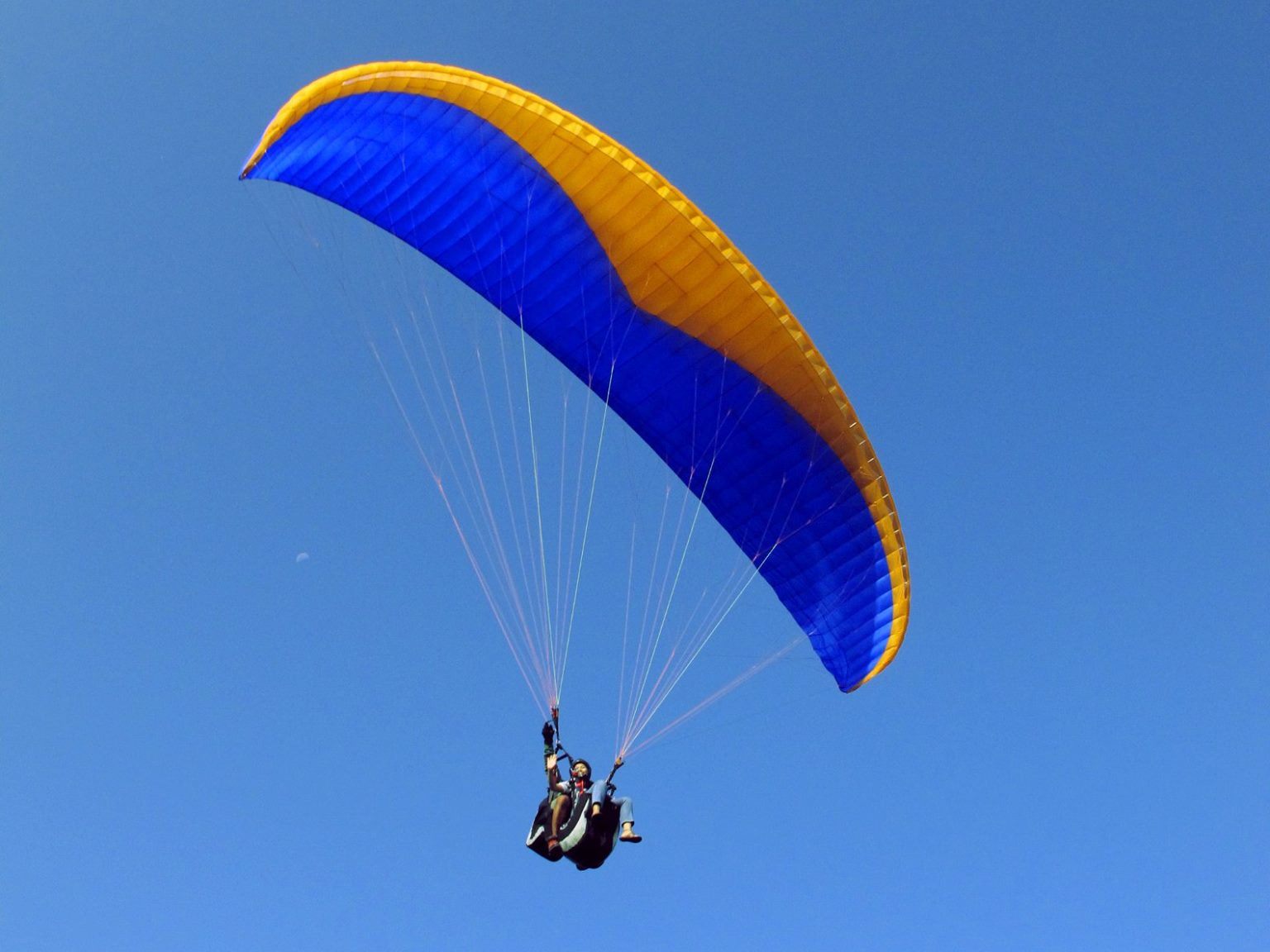 nyang nyang paragliding 1536