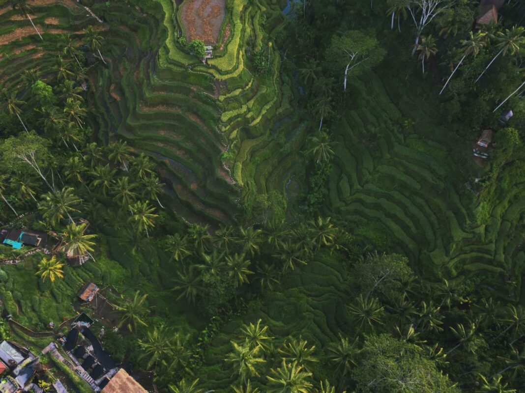 Bali.com