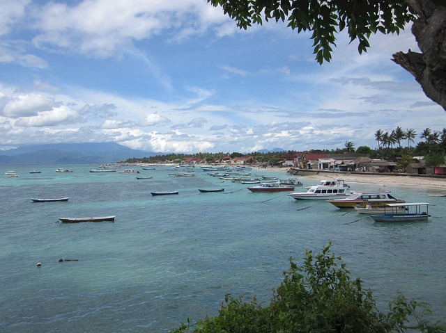 Bali.com