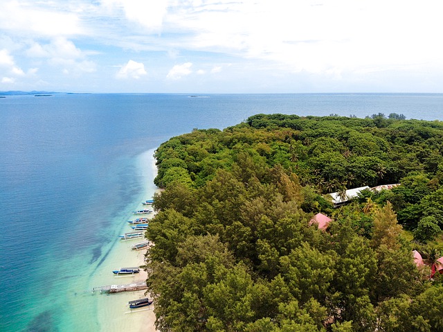 Bali.com