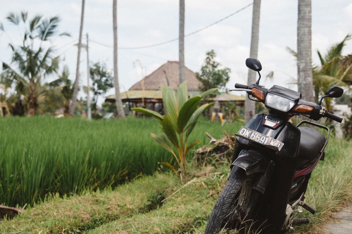 Bali.com