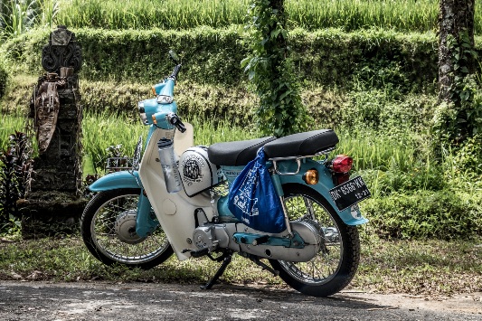 Bali.com