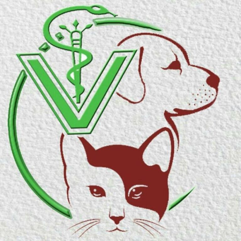 central vet 800 768x768