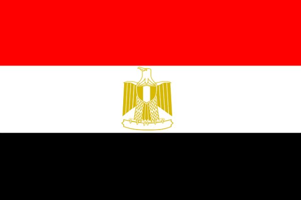 egypt visa flag