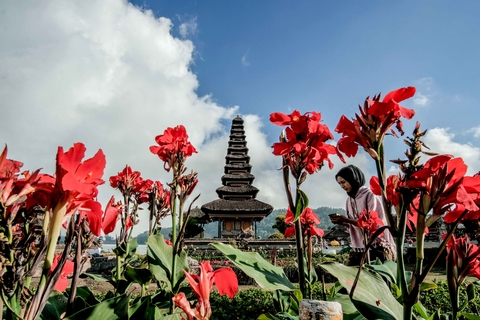 Bali.com