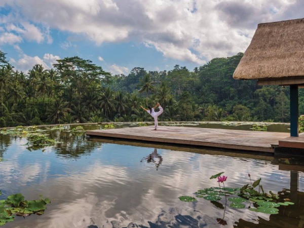 Bali.com
