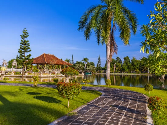 Bali.com