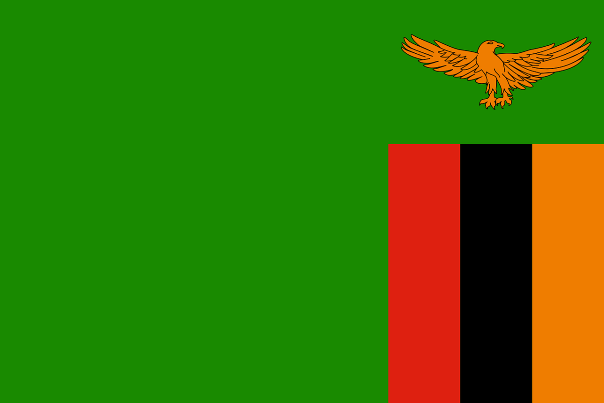 zambia visa flag