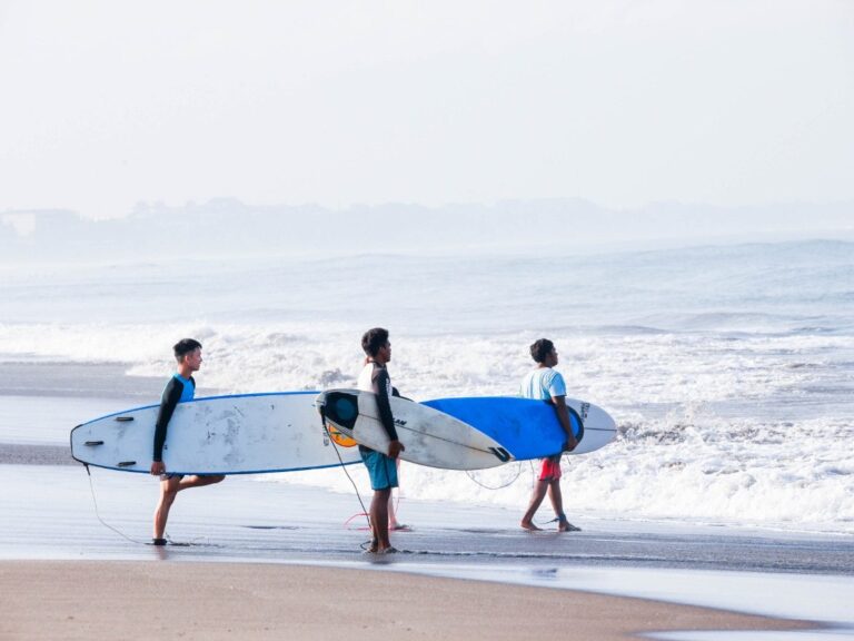 sea n surf 1 1 768x576