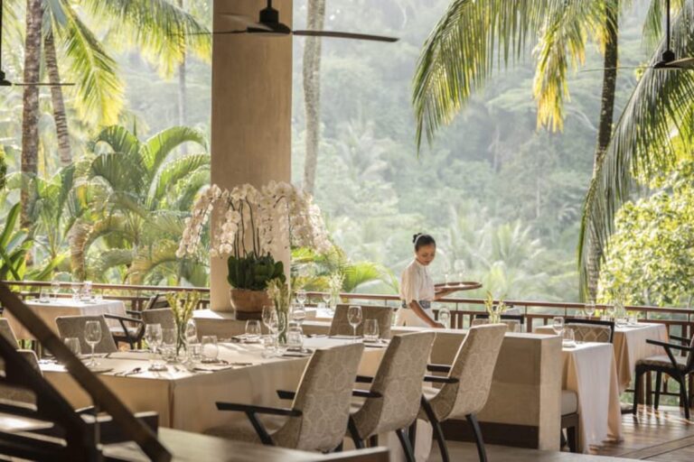 fourseason sayan 1 768x512