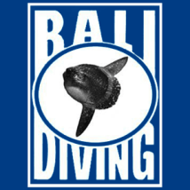 Bali.com