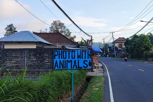 photos with animals against animal welfare