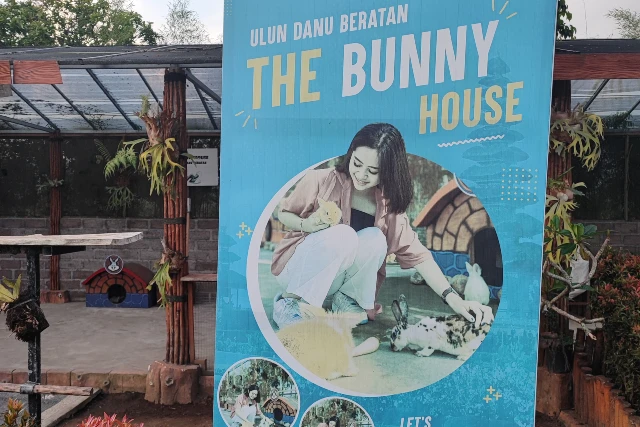 Bali.com
