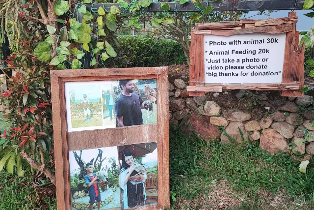 photos with animals against animal welfare