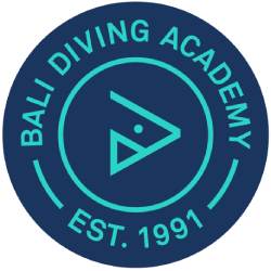 Bali.com