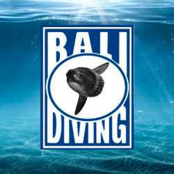 Bali.com