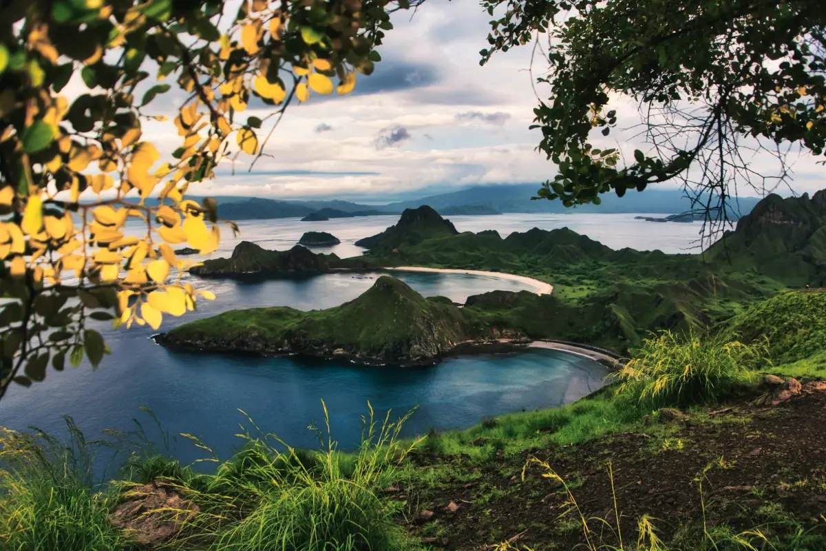 Bali.com