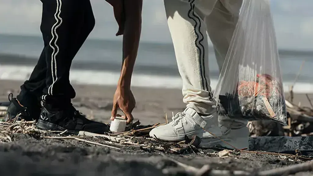 Bali.com