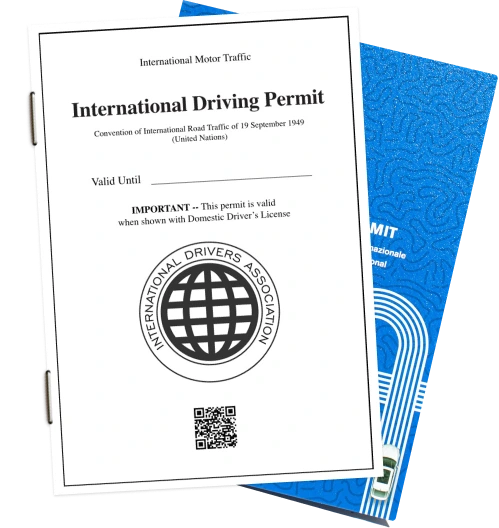 international driving license photo