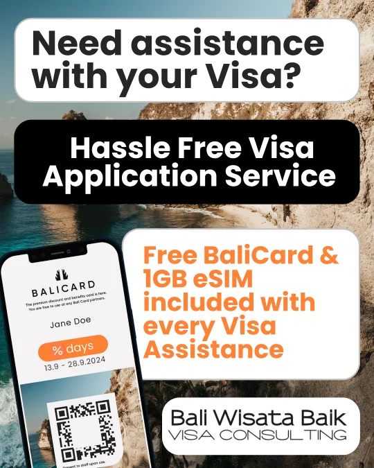 visa application service