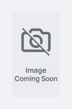Bali.com
