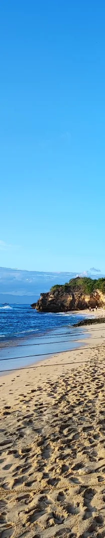 Bali.com
