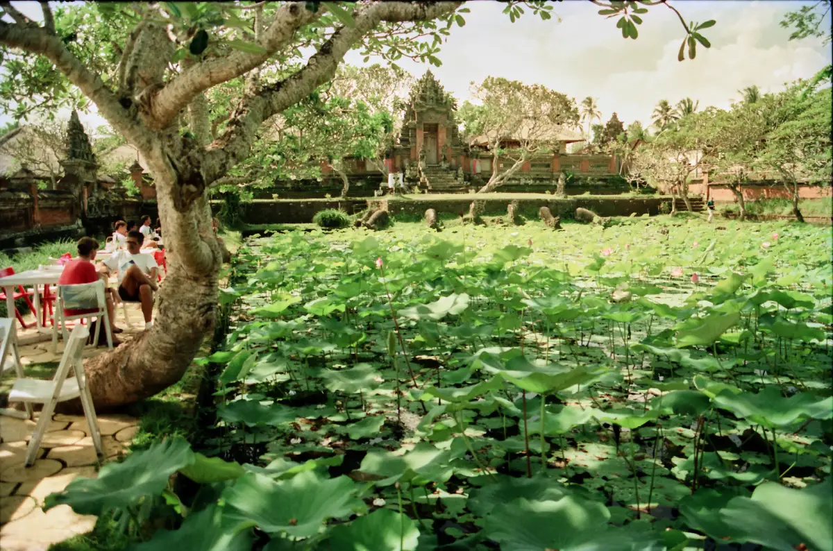 Bali.com